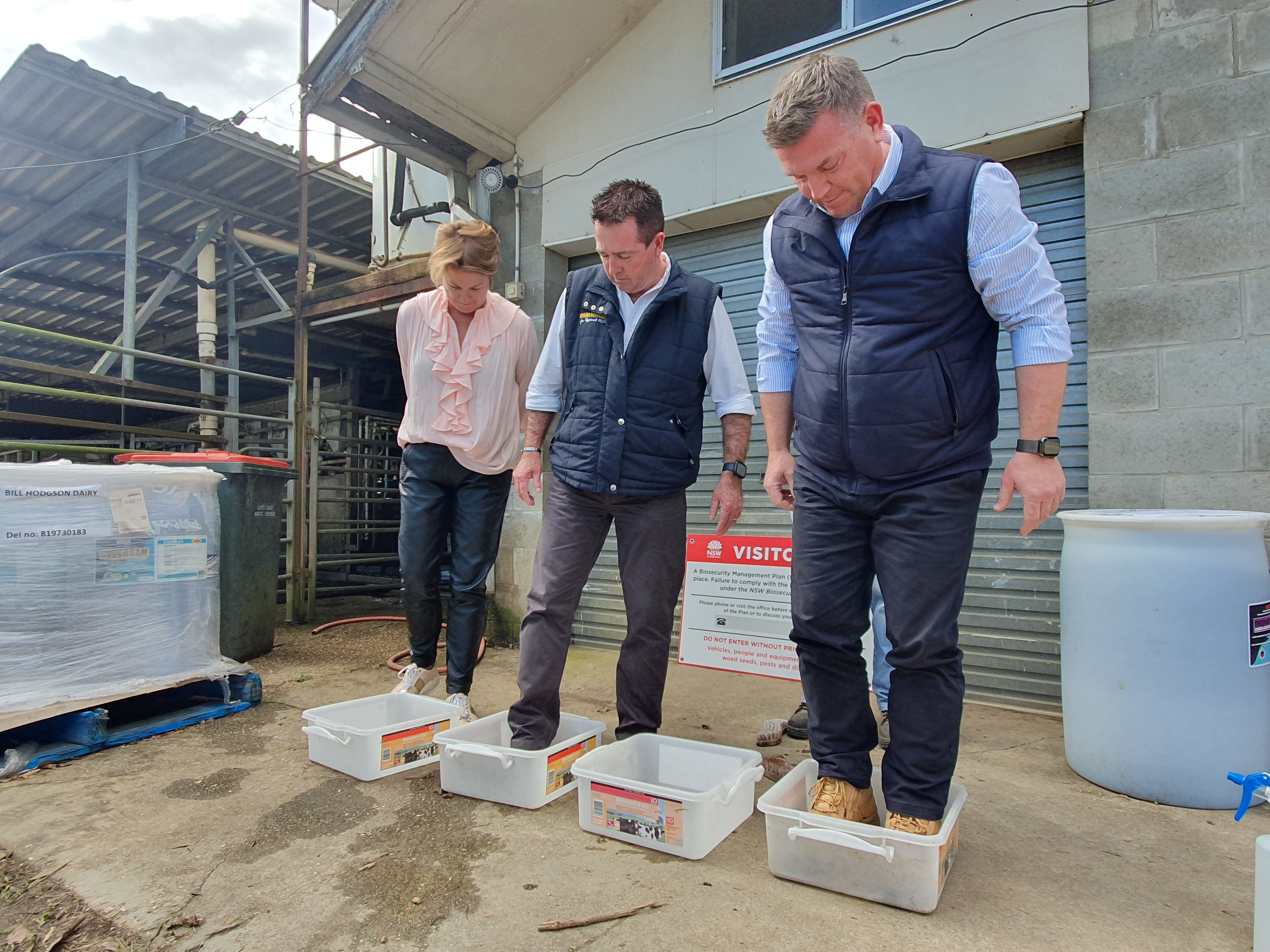 Three politicians place a foot into separate foot baths at a dairy farm.