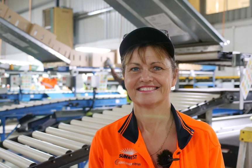 Katherine packing shed manager, Kehran Collingwood is standing in front of a mango packing lining, with cartons of mangoes.