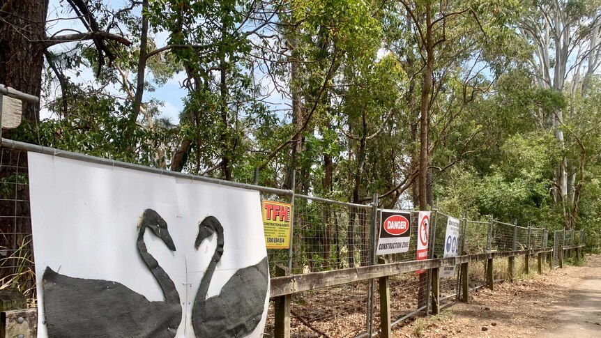 A white sign with a picture of two black swans is attached to construction fencing