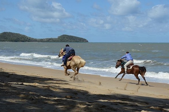 Two men on horseback race along a beach at Palm Cove north of Cairns