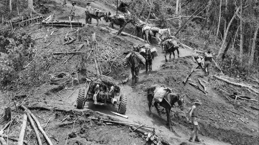 Australian troops navigate the Kokoda track during WWII.