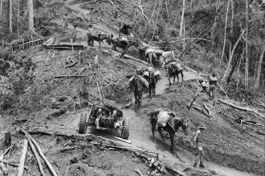 Australian troops navigate the Kokoda track during WWII.