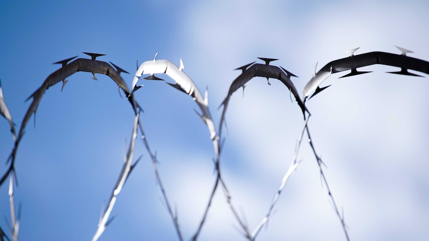 Barbed wire outside a jail.