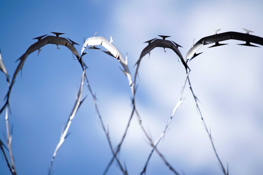 Barbed wire outside a jail.