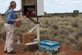 An outback postie delivers the mail