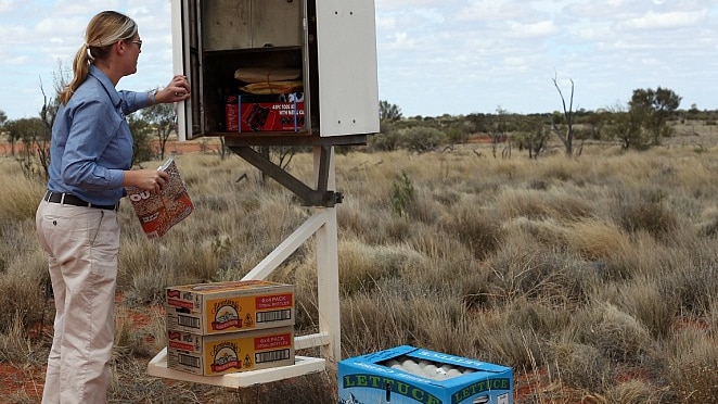 An outback postie delivers the mail
