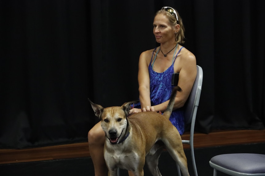 A woman sitting in a chair with a middle-sized dog standing next to her, ears up attentively