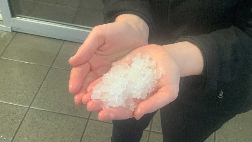 Someone holding a handful of small hail pieces