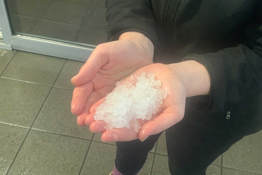 Someone holding a handful of small hail pieces