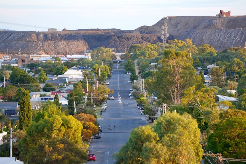 Trees and a road with the Broken Hill Line of Lode. 