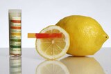 A slice of lemon with a stick of litmus paper that has turned red, showing the juice is acidic.