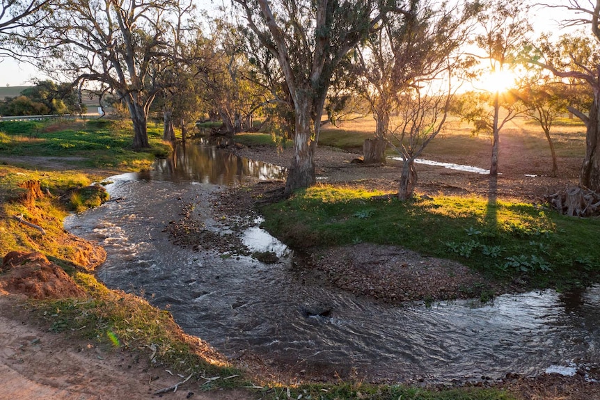 A creek with flowing water