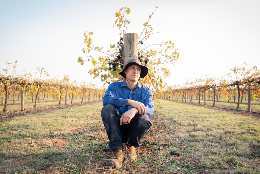 A man wearing a floppy hat leans against a post supporting a row of vines.