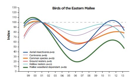 Eastern Mallee birds declined, began recovering, and then declined again, the surveys found.