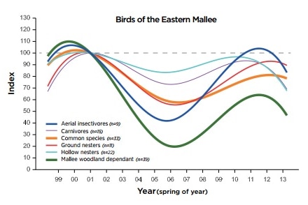 Eastern Mallee birds declined, began recovering, and then declined again, the surveys found.