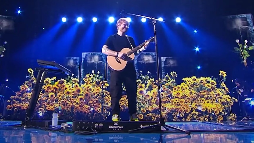 Ed Sheeran performs in front of sunflowers.