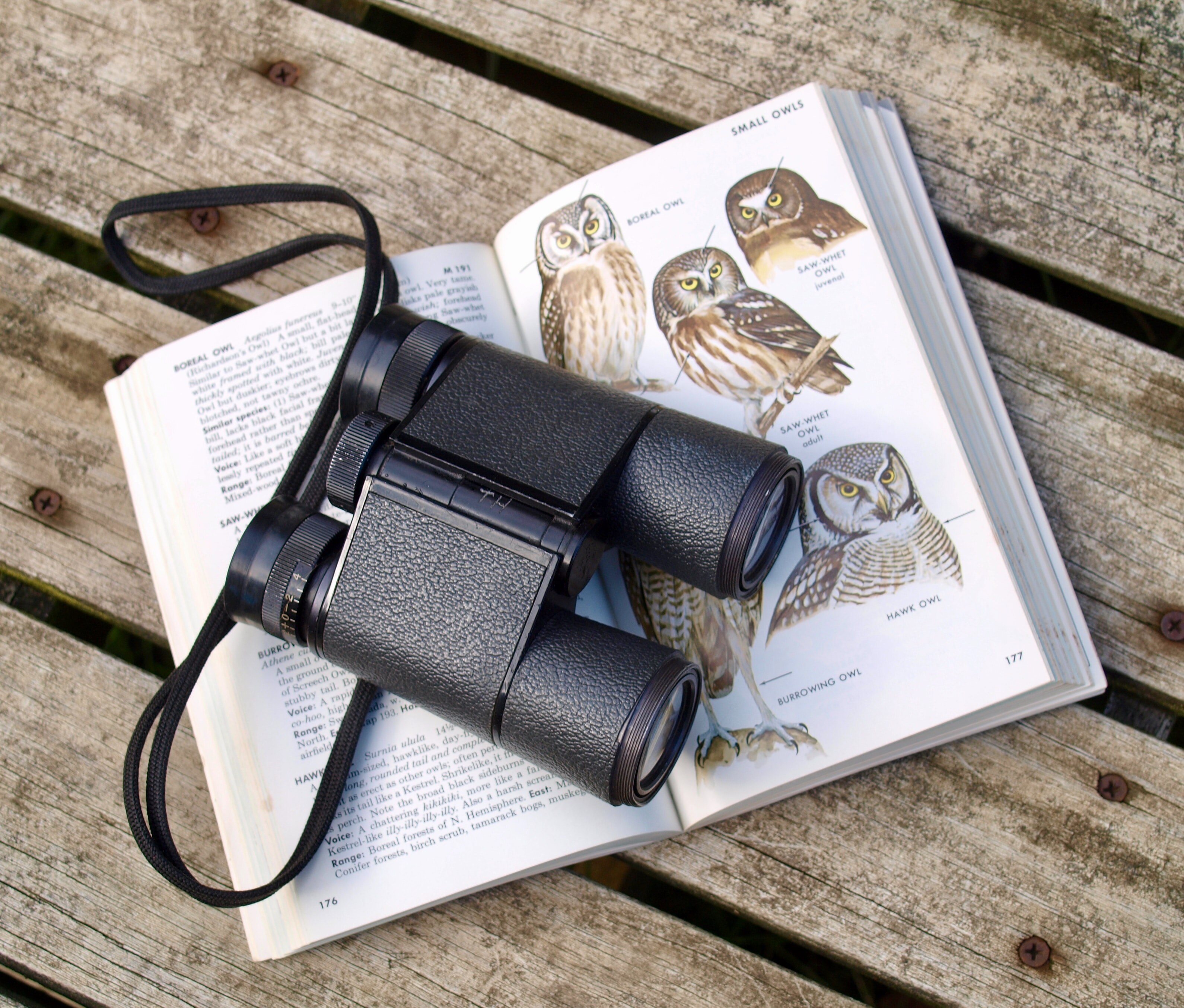 An open book with different coloured owl images, and a pair of black binoculars sitting on top of it.