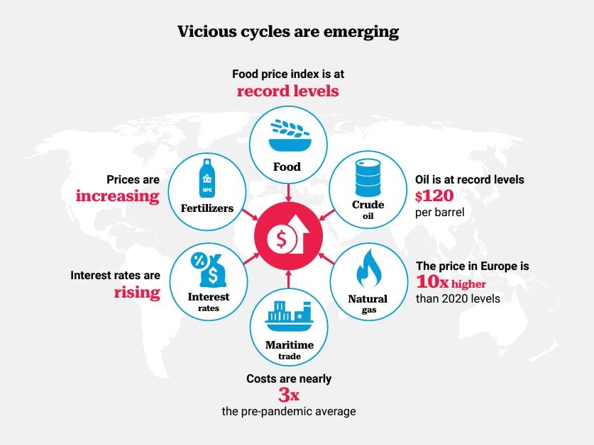 A UN report shows vicious cycles, like record high oil and gas prices, emerging and impacting food supply.