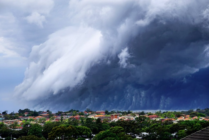 A massive, dark cloud looms off the coast of Coogee