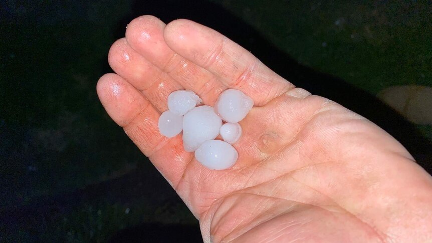 Small hailstones sitting in somebody's palm