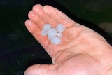 Small hailstones sitting in somebody's palm