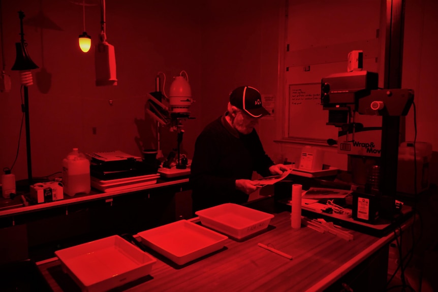 A man wearing dark clothes and cap developing photographs in a darkroom illuminated by a red light