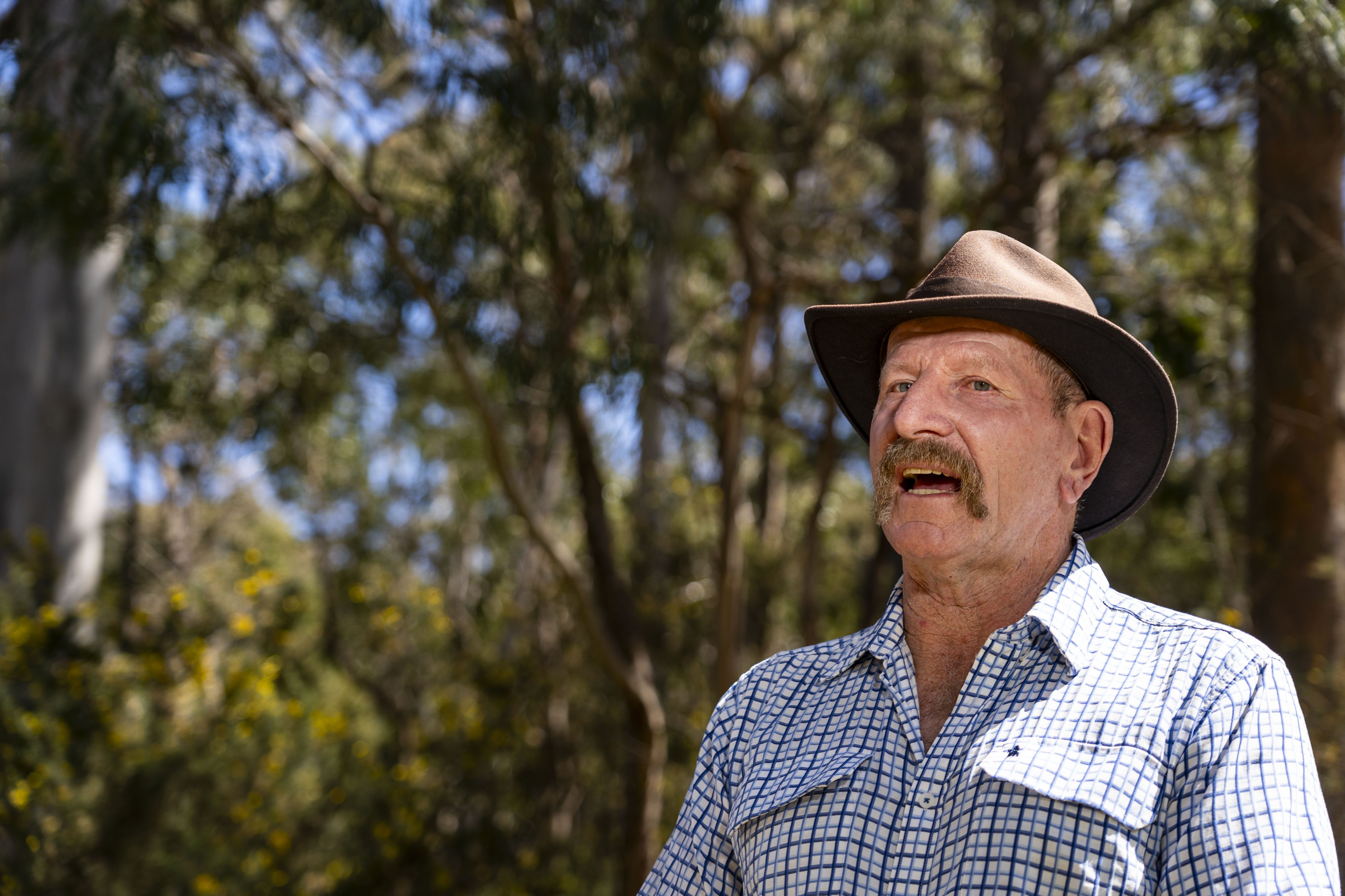 a man in a check blue shirt with a brown wide brimmed hat