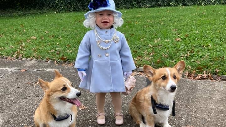 A toddler wearing a white wig and formal, pale blue suit dress and hat stands next to two corgis.