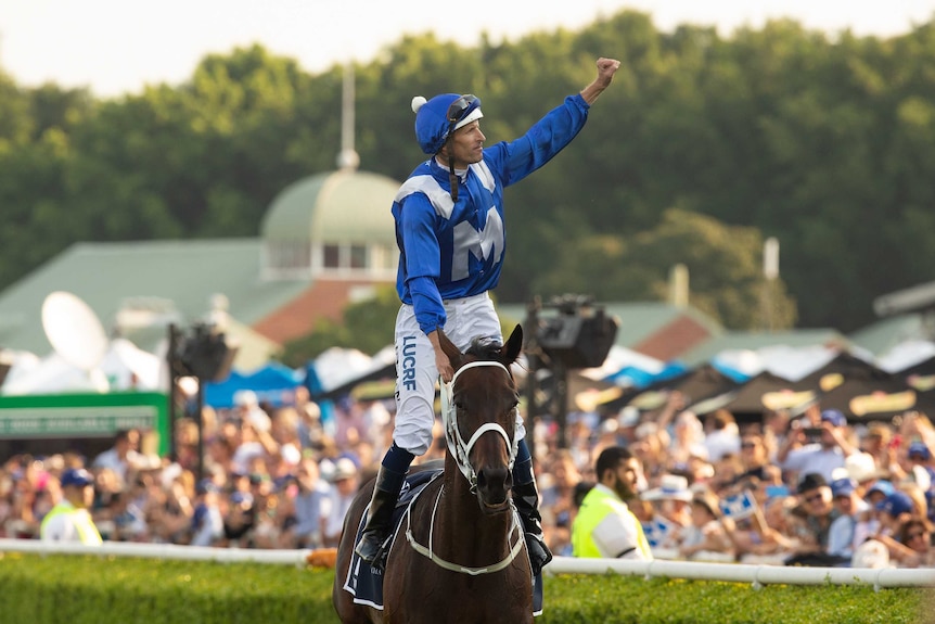 A jockey raises his fist in the air atop a horse after winning a race