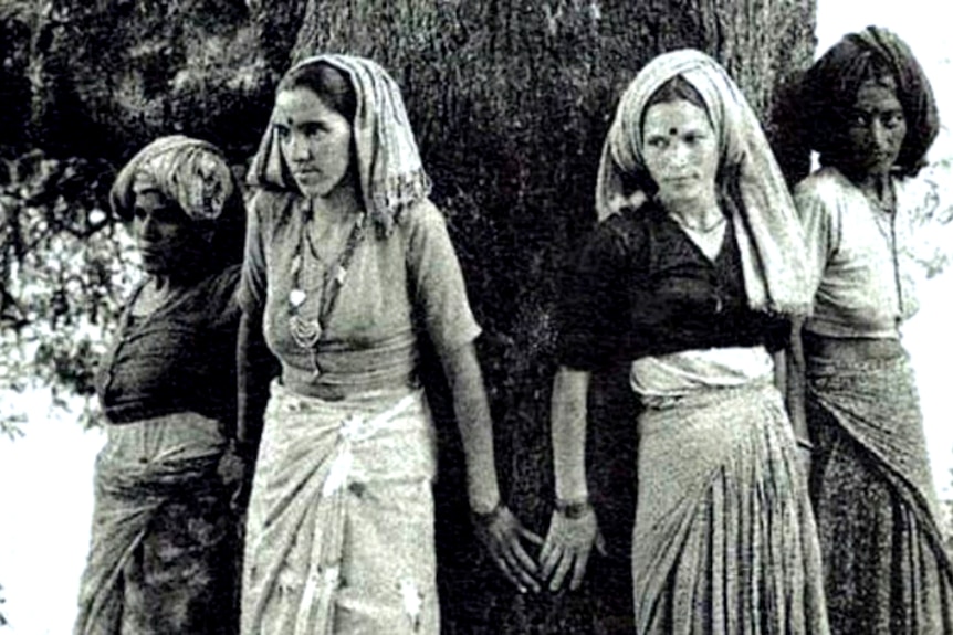 A black and white photo of women encircling a tree.