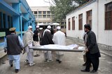Afghan girl killed collecting firewood
