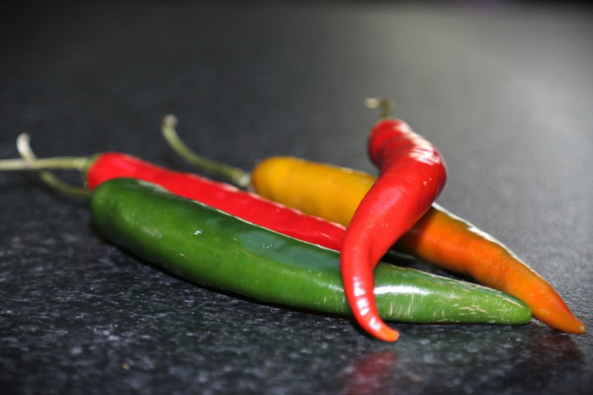 Red, orange and green chillies on a dark bench, representing a DIY vegetable garden that doesn't require a backyard.