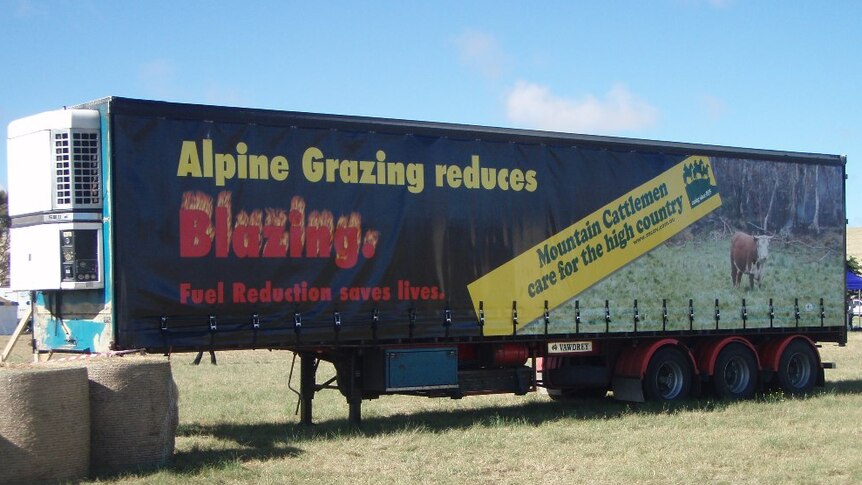 Alpine Cattle Grazing banner