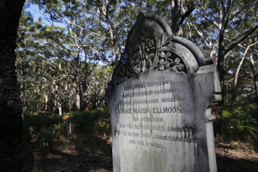 A closeup of an old headstone in a national park with bushland in the background