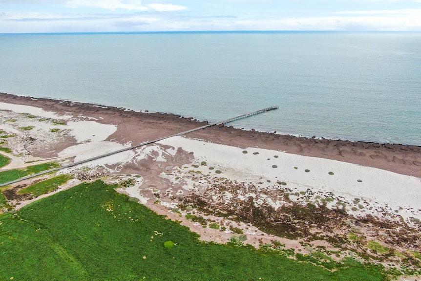 A birds eye view of a coastline with greenery and a jetty