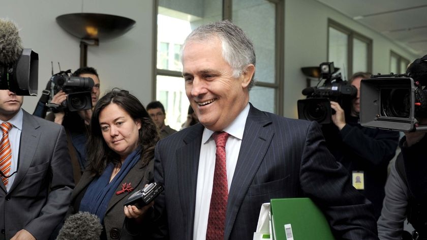 Shadow treasurer Malcolm Turnbull