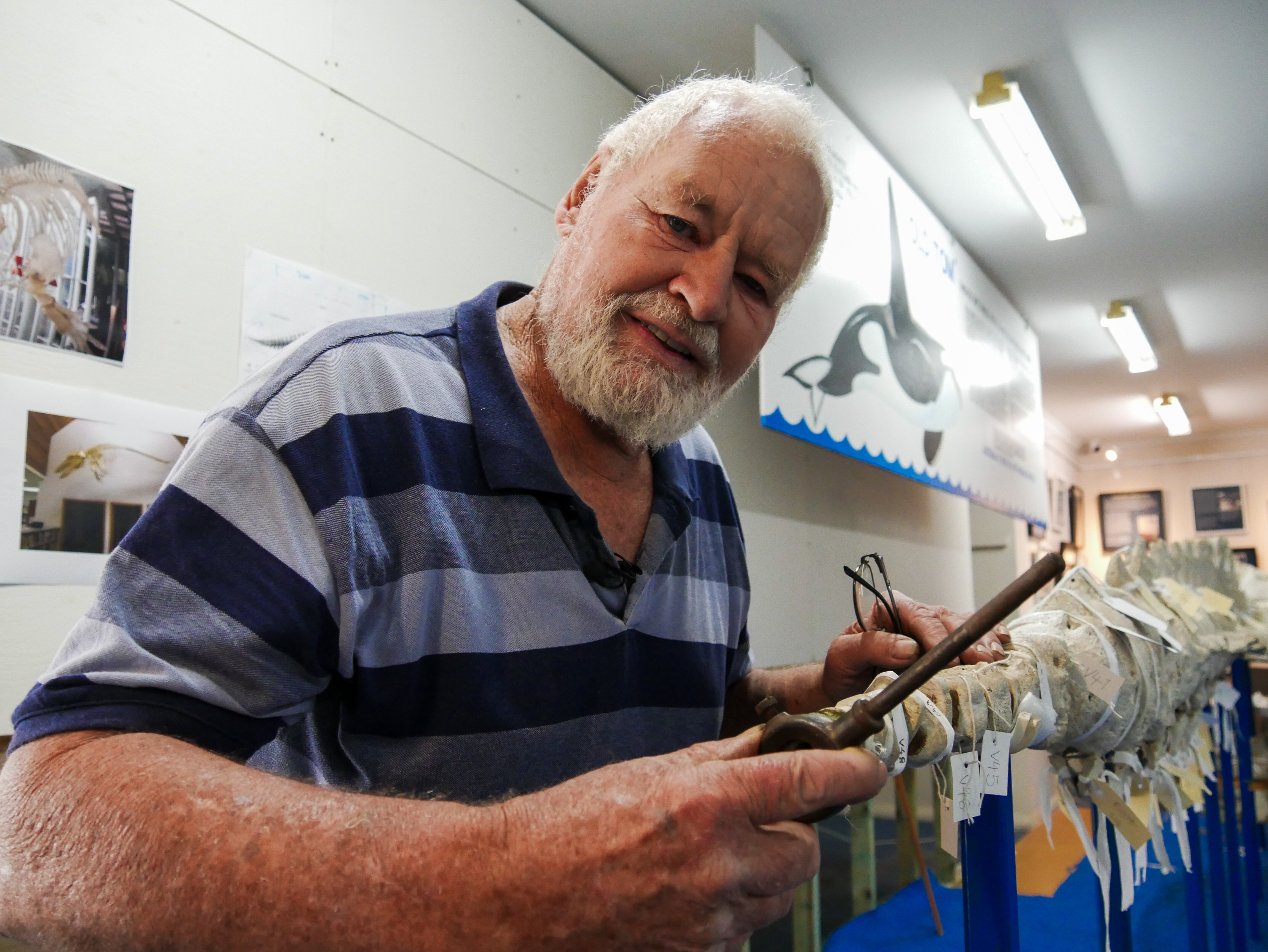 a man smiles into the camera at the tail end of a whale skeleton
