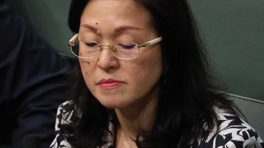 Gladys Liu reading a piece of paper sitting on green benches in the House of Representatives