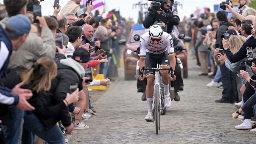 A professional cyclist on cobble stone roads, riding through a cheering crowd as he leads the Paris-Roubaix race