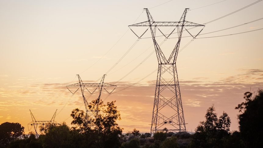 Federal government launches review of transmission line planning