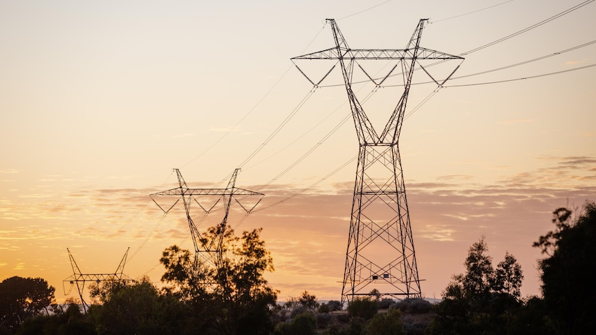 Federal government launches review of transmission line planning to ease  community opposition - ABC News