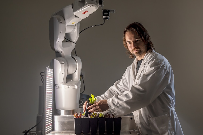 scientist with artificial intelligence equipment and small plant