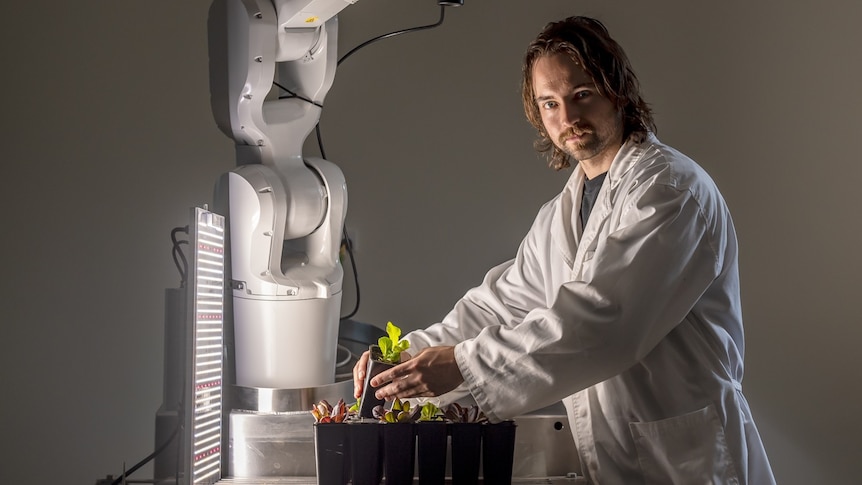 scientist with artificial intelligence equipment and small plant