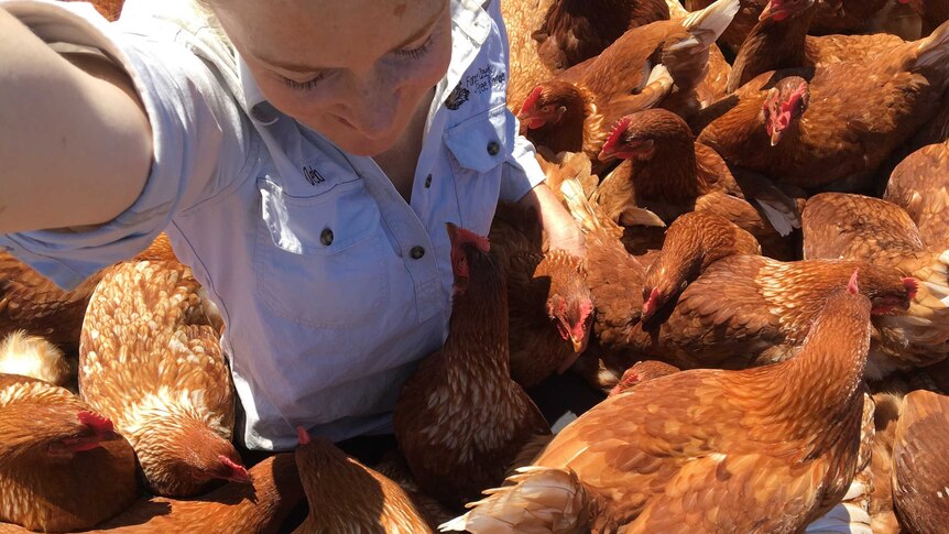 Selfie photo taken from above of woman surrounded by chooks.