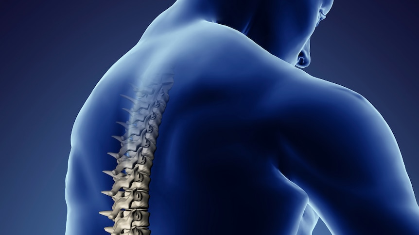Human back with visible spine