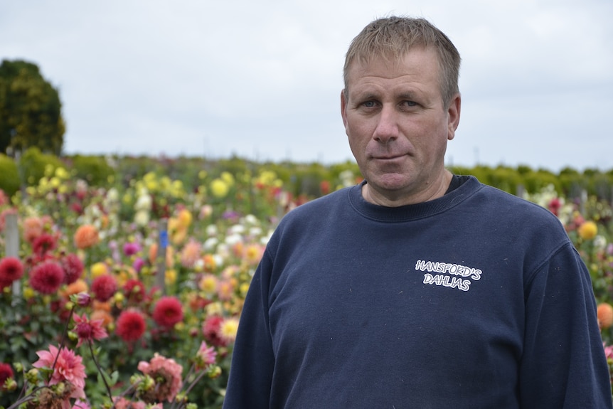 A man looks at the camera. There are a lot flower growing in a paddock behind him.