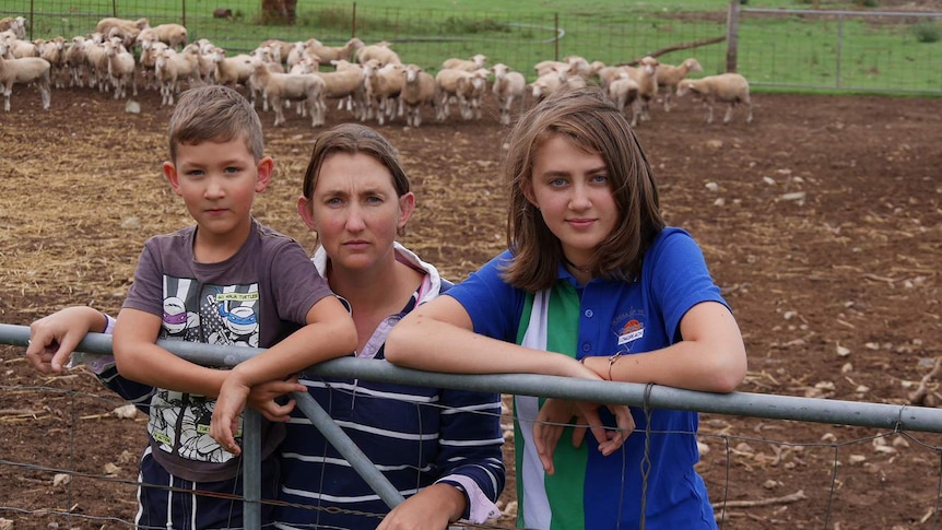 Samara Cassidy with her children Beau and Jordan lean on a gate with sheep in a pen at their property.