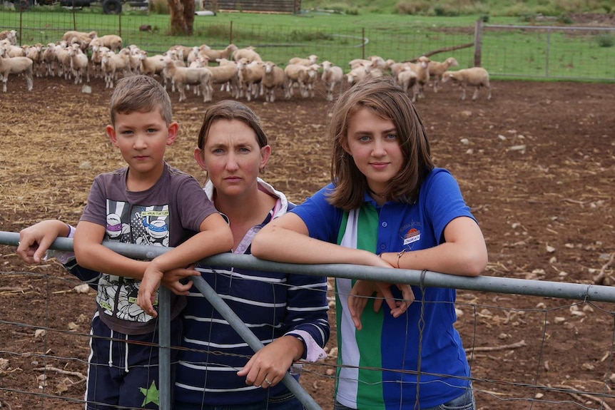 Samara Cassidy with her children Beau and Jordan lean on a gate with sheep in a pen at their property.