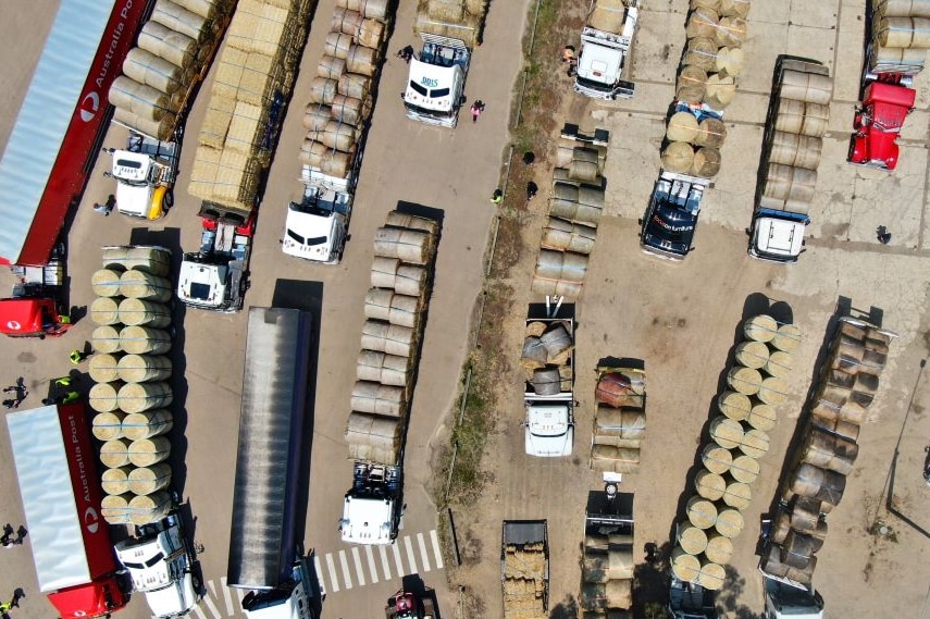 A drone photo showing about 25 parked trucks of various sizes loaded with hay bales.