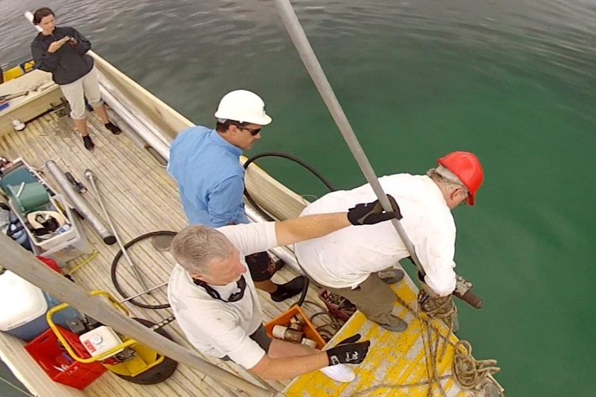 Team of UTS researchers in a boat in Jervis bay leaning over the side taking sediment samples